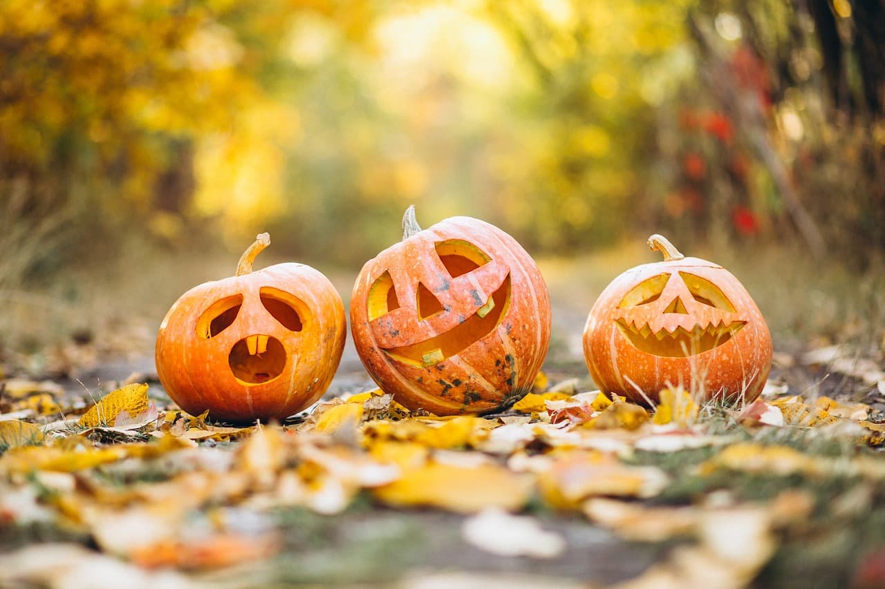 Foto bij Pompoen uithollen – Oktober Kindermaand
