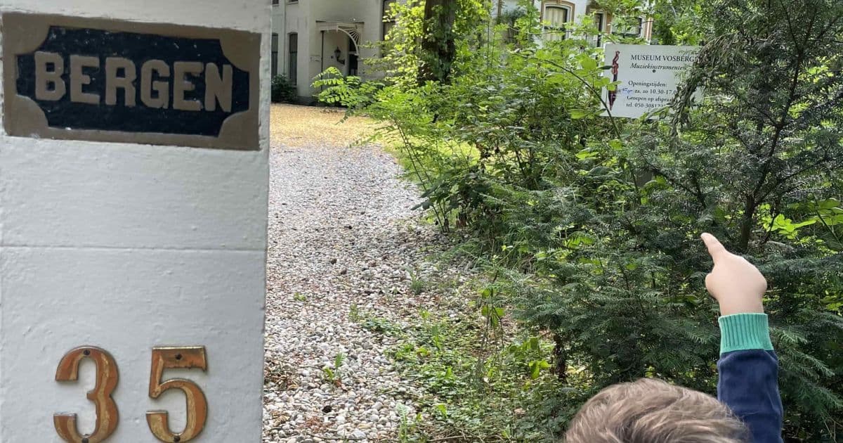 Afbeelding bij Speur naar muziekinstrumenten in Eelde