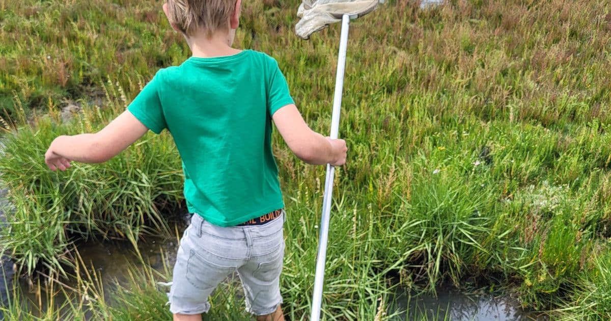 Kinderen ontdekken de kwelder tijdens een excursie