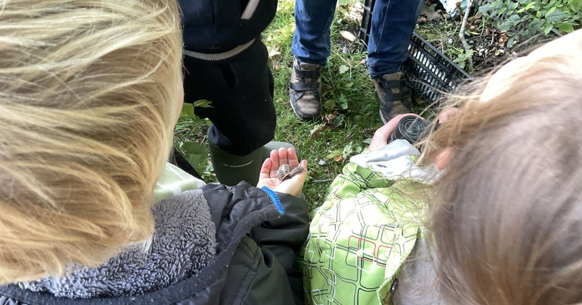 Kinderen onderzoeken bodemdiertjes in de tuin